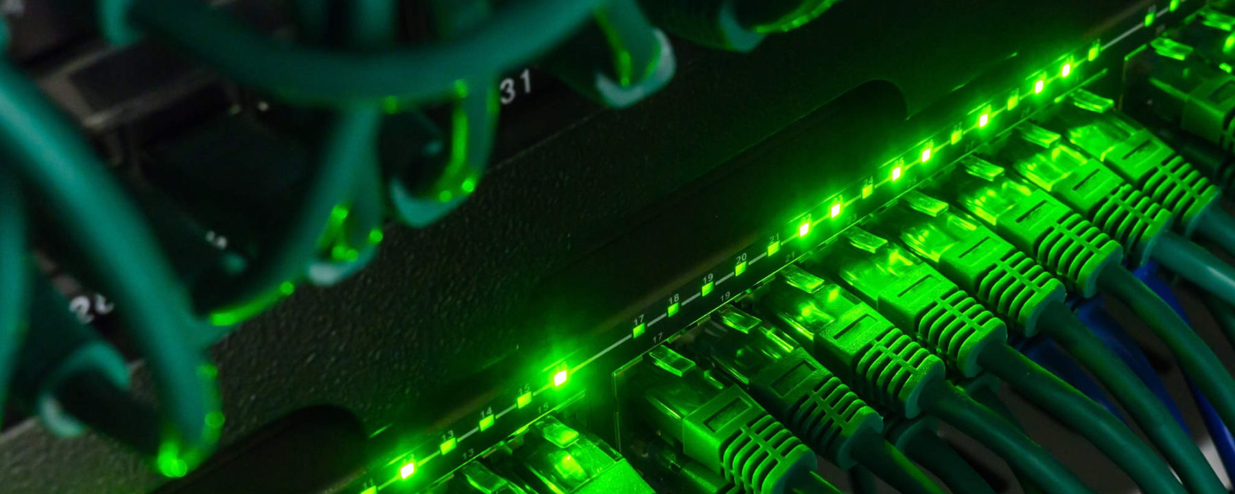 server-green spedizioni internazionali bologna